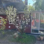 Vakantiehuis Historic In Ellinge Lyng Højby