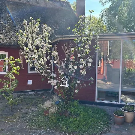Hébergement de vacances Historic In Ellinge Lyng Højby