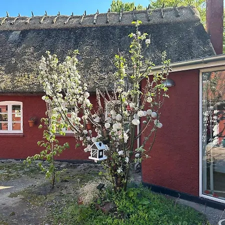 Historic In Ellinge Lyng Semesterbostad