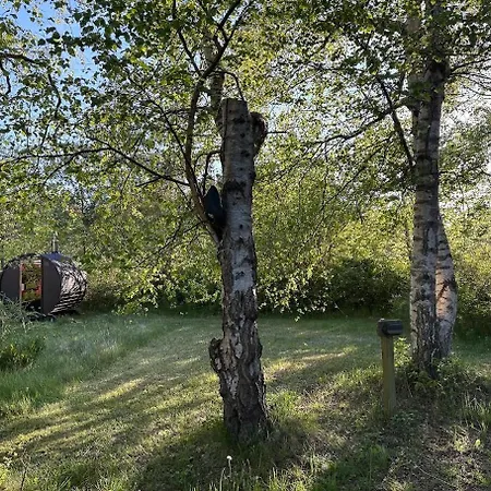 Historic In Ellinge Lyng Feriehus