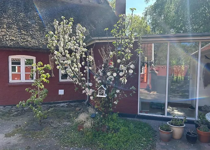 別荘 Historic In Ellinge Lyng Højby
