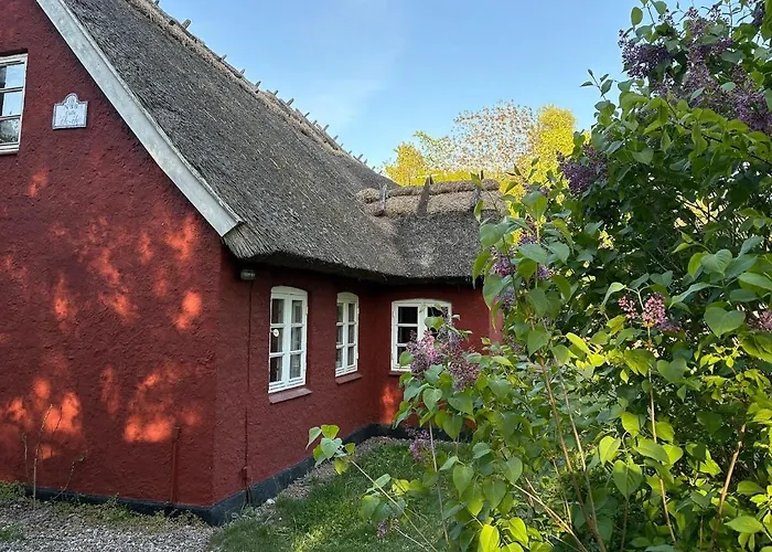 Historic In Ellinge Lyng Ferienhaus *